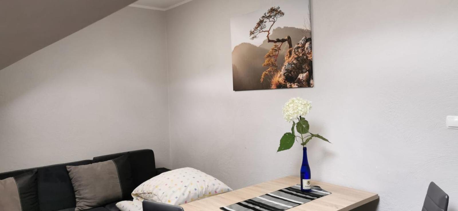 Apartamenty Hejszowina Kudowa-Zdrój Eksteriør billede