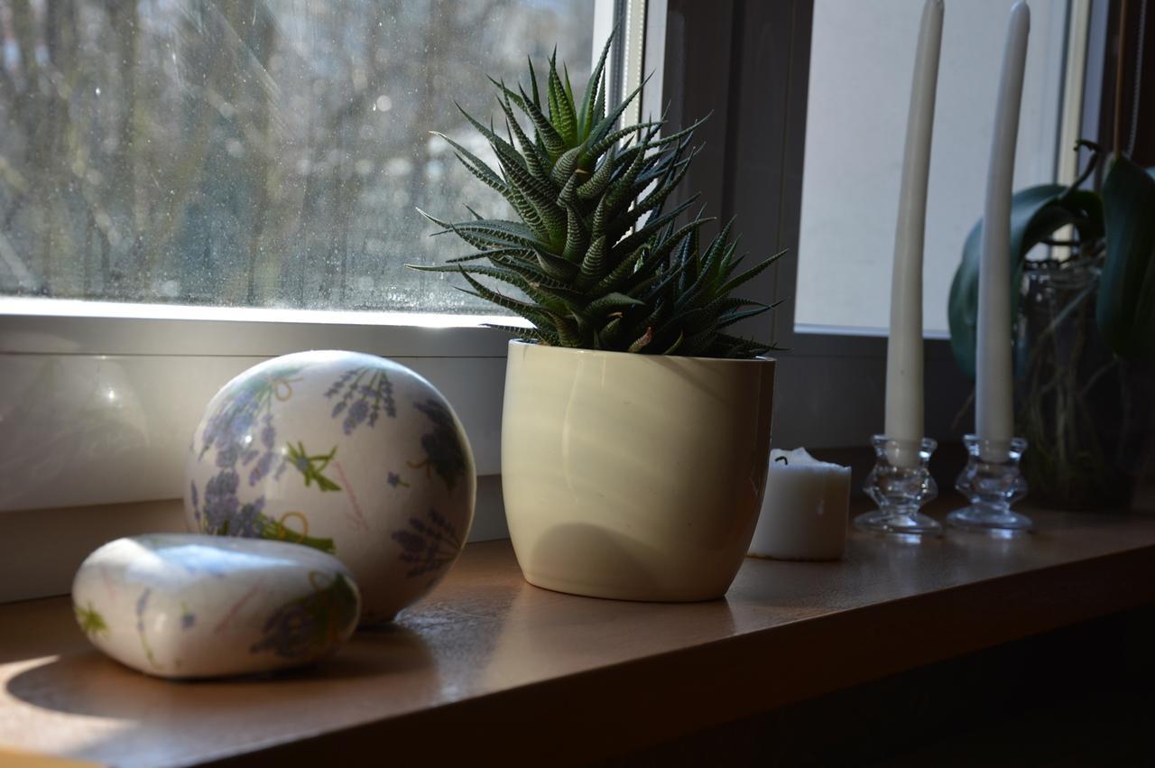 Apartamenty Hejszowina Kudowa-Zdrój Eksteriør billede